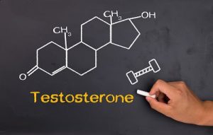 Hormon testosterone có ý nghĩa như thế nào